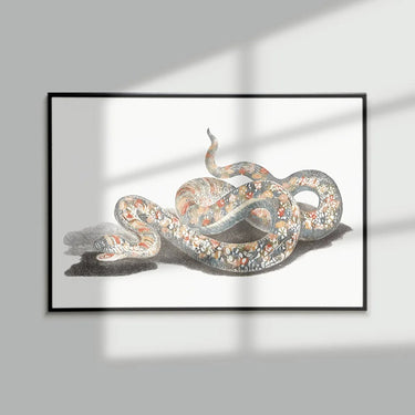 Poster Serpent Vipère